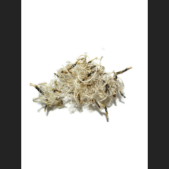 Curly moss bielony 50g